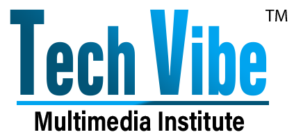 Tech Vibe Multimedia Institute